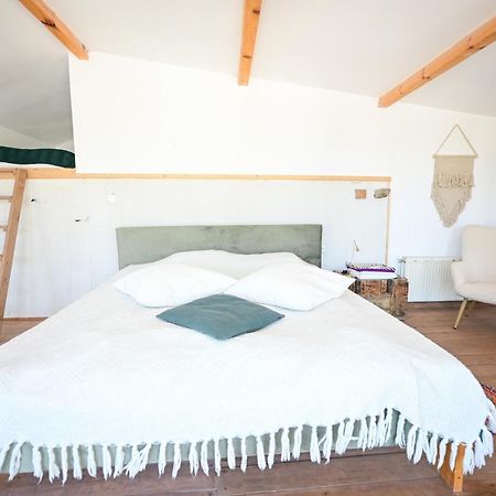 Guest House Bulgarka Dibich Exterior foto